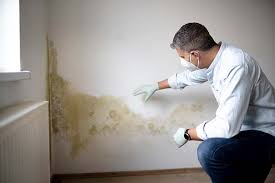 Best Attic Mold Removal  in Salix, PA